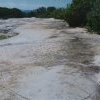 Jibbon Head rock engravings